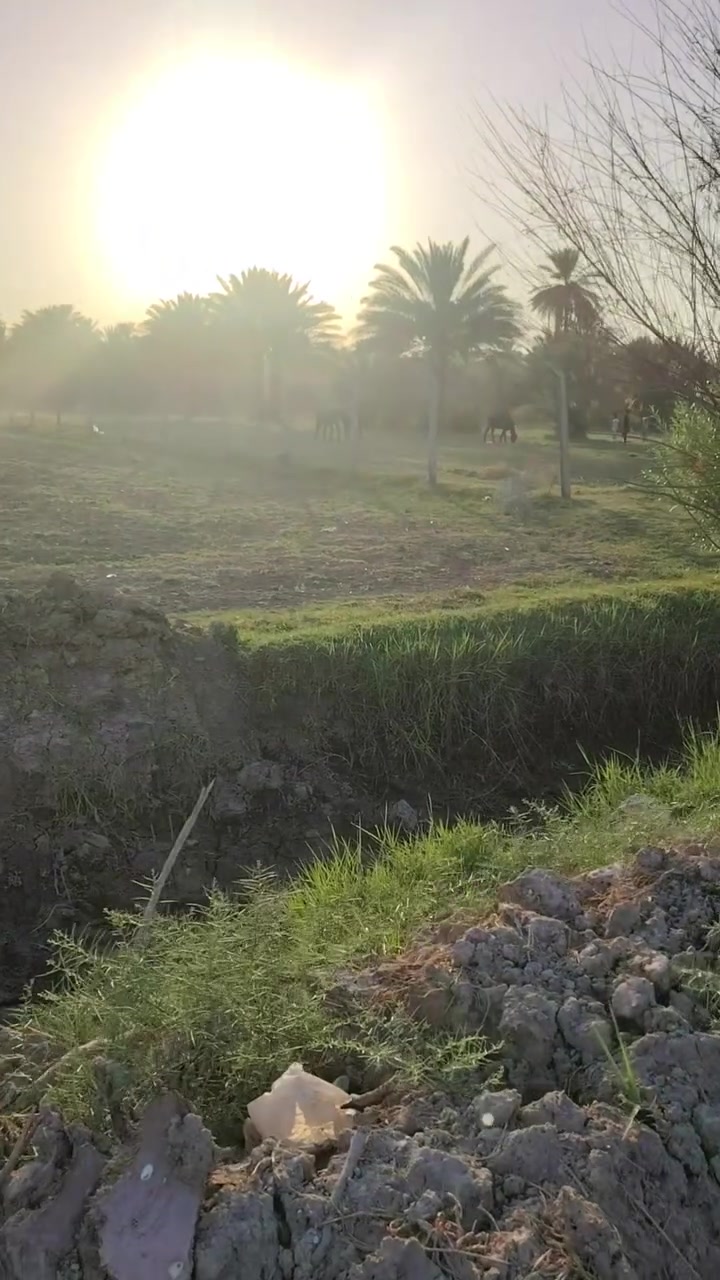 ٣ دوانم • شارع نضوري • سند ٢٥