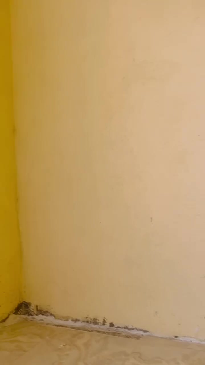 اللهم صل على محمد وال محمد 
مكتب الكرار للعروض المميزه ✅
شقه للإيجار مساحه ١٠٨ متر على كبر البنايه فقط شقه وحدها بناء جديد درجه اولى استقبال صاله مطبخ وغرفه وحمام جاهزه من كلشي سيراميك بورسلين تانكي حجم كبير كهرباء ماء متوفر 
تصلح ( للسكن او عياده طبيه او معهد دراسه) 
📍موقعها جدا ممتاز الحبيبيه قرب سيطرة وليد شارع دائره المجاري بالبدايه بعد عن الشارع العام السجه ٥٠ متر
وبسعر مناسب جدا 💸
للاستفسار اكثر مراجعة مكتب الكرار للعقار او الاتصال على الأرقام التاليه ***********/***********
