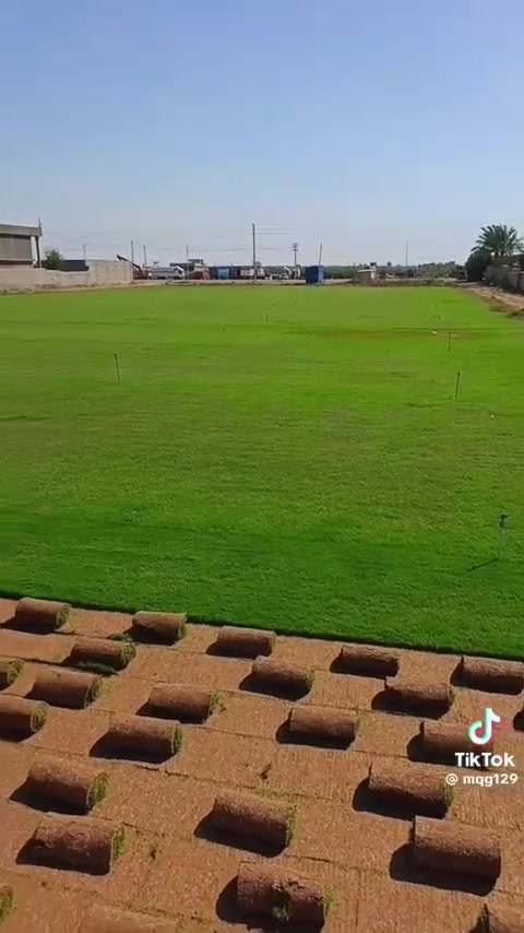 لا توجد تفاصيل

