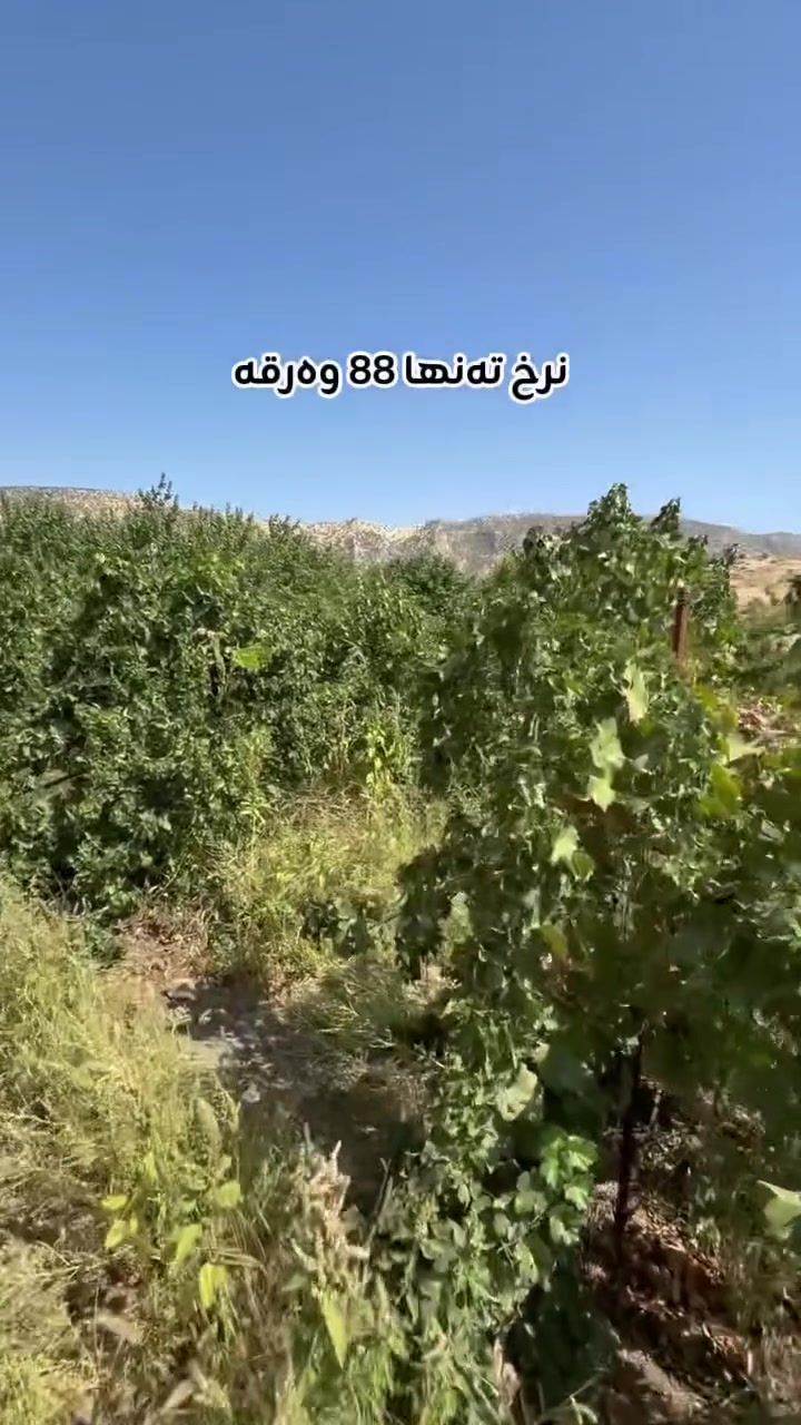 أرض للبيع • بدون موقع • تفاصيل ناقصة