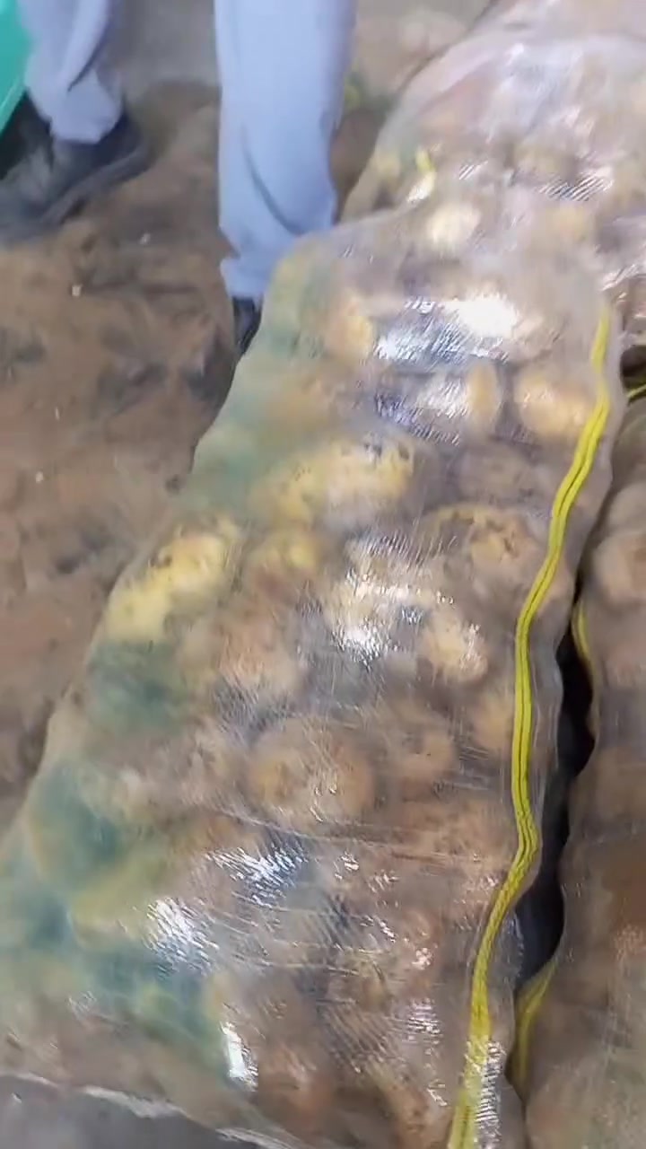 هيت حي العمال • خضروات • توصيل