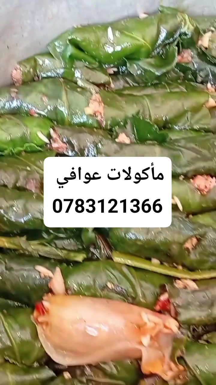 خدمات • بدون تفاصيل