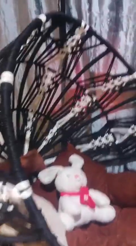 مرجوحه • عش العنكبوت • ابو الخصيب