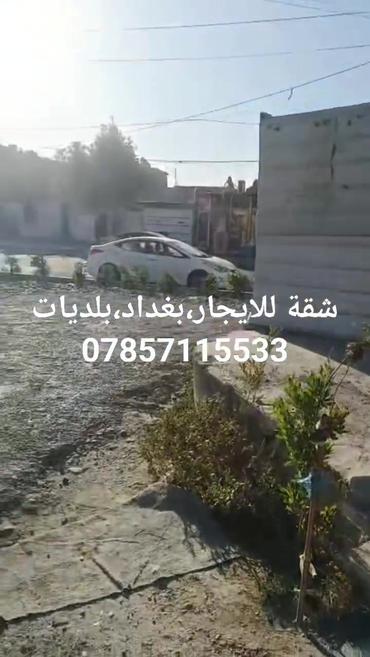 لا توجد تفاصيل
