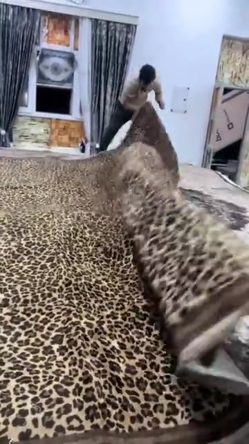 سجاد • بغداد