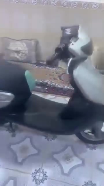 السلام عليكم دراجه منغولي 60 ما مفتوحه شرط نضيفه بمعنه الكلمه افحص وين متريد لايت اشاير كلهه شغاله  ومعدل كلش حلوه الدراجه العنوان الرميثه وهذا رقمي *********** بي واتساب رحمه لمك وبوك لا تعلق إذا مو شراي ولا اتخابرني السعر (  500 )  قفل قفل قفل ( وشكراً )
