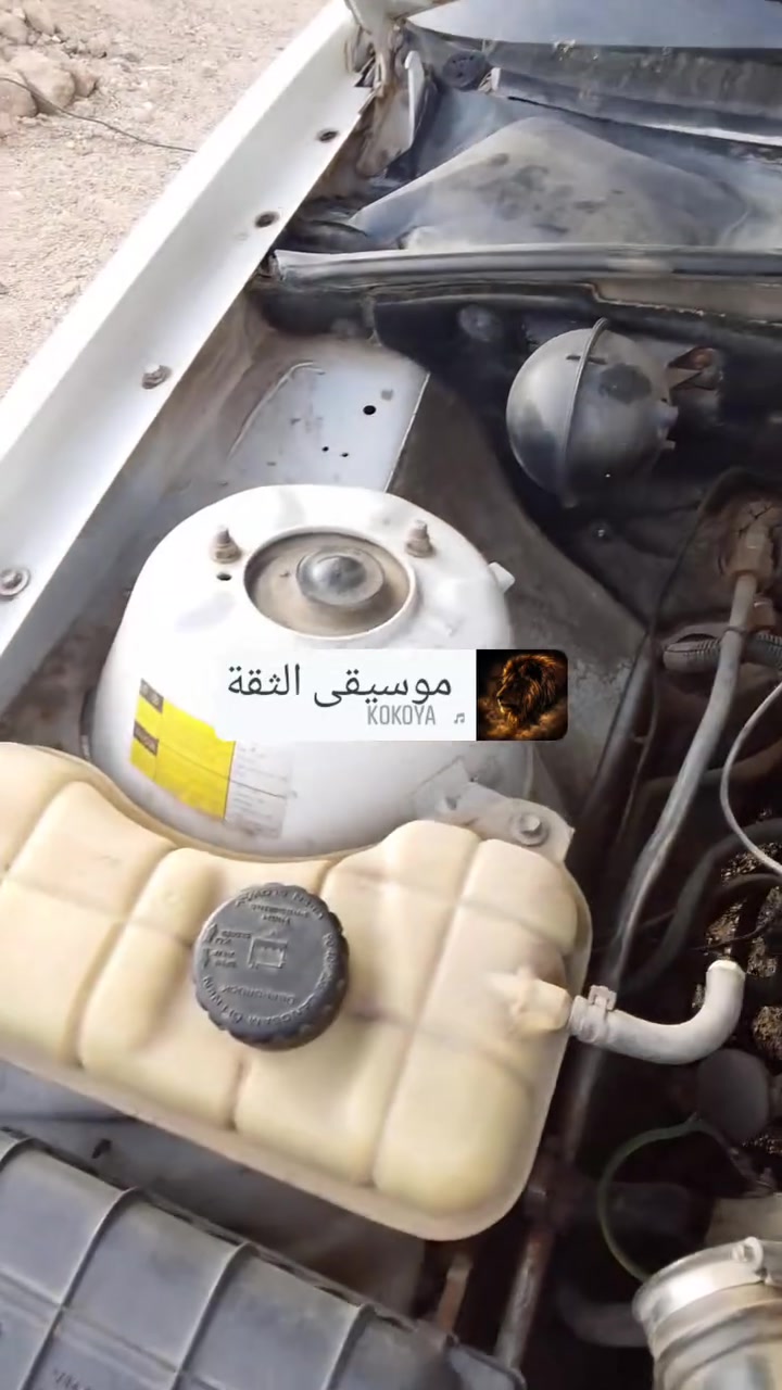 برنس فراشه • ٩٦ • رقم انبار