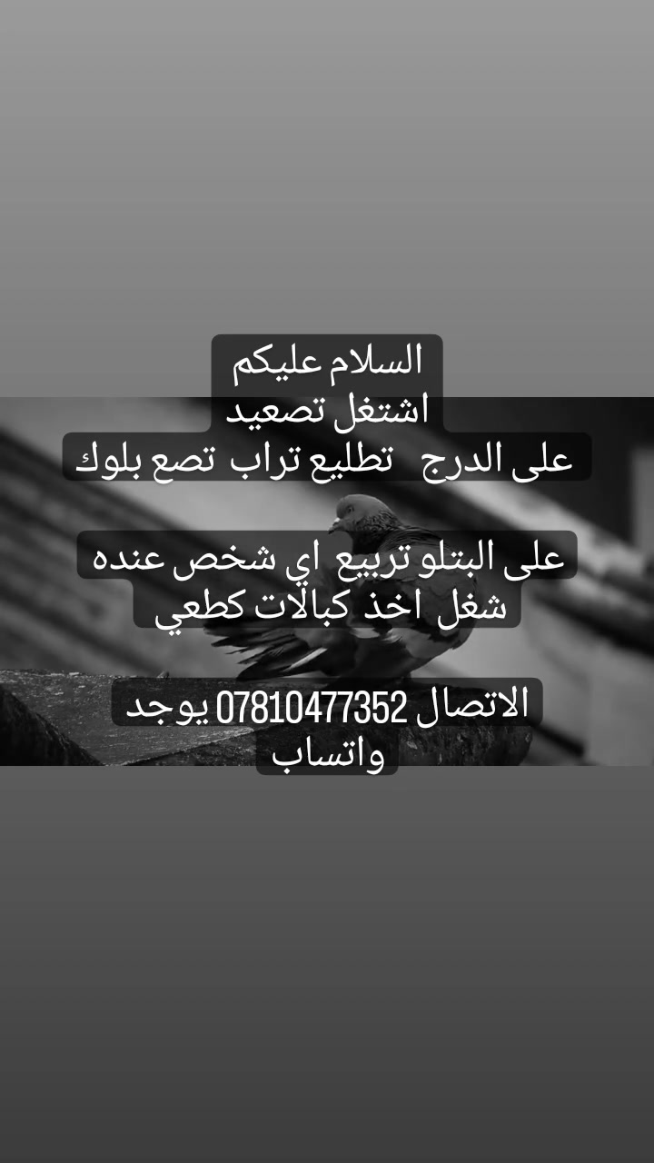 الحسينيه • تصعيد • بلوك طابوق