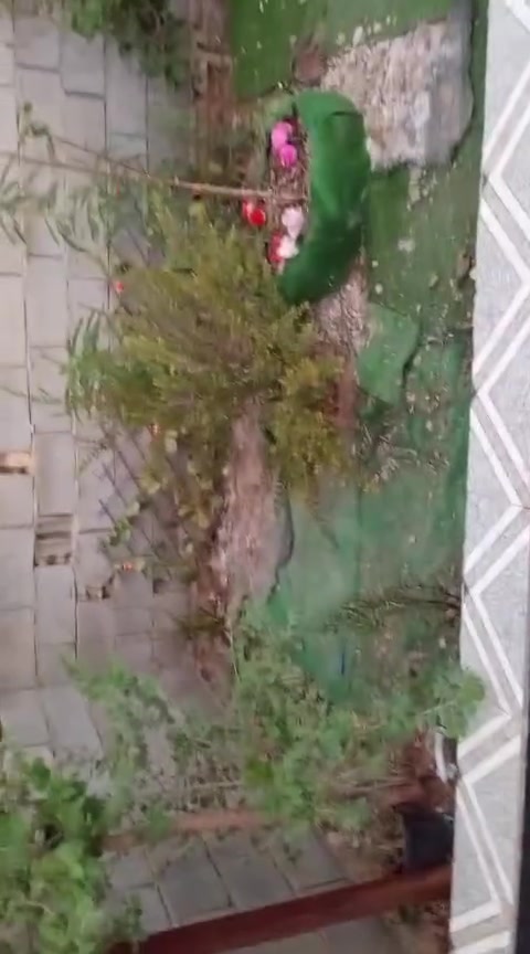 السلام عليكم بيت للبيع زراعي  العنوان شارع الدلفي عمود 32 يبعد عن شارع المشايه700متر  الاستفسار الاتصال عل هذا رقم ***********(مكلف بالنشر)
