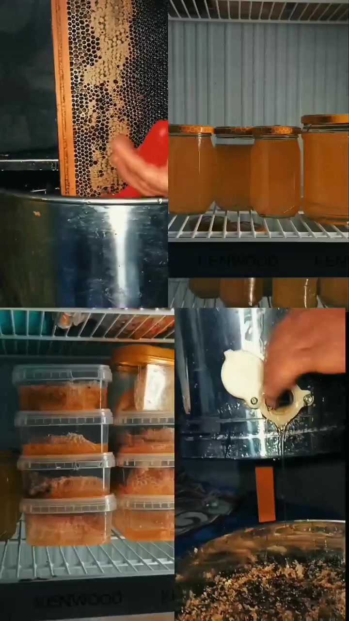 منحل أبو علي الحسيني محافظة واسط قظاء النعمانية شارع الحولي بيت السيد أبو حيه ***********
عسل بلشمع 40 
عسل بدون شمع 30 
شمع ختم العسل كيلو 50
@إشارة
