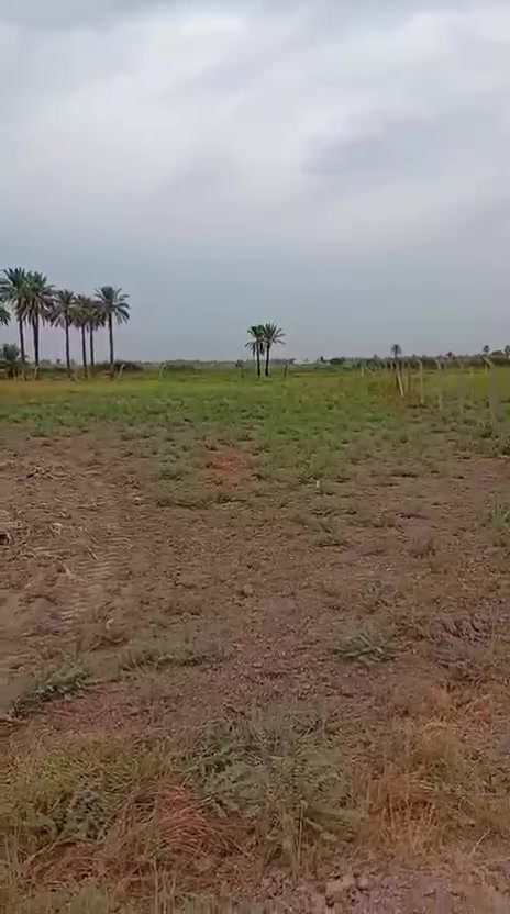 بغداد اليوسفية • سند ٢٥ • ٢ دونم