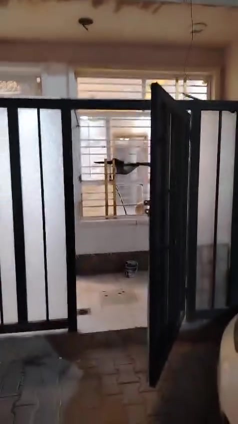 بيت حديث للايجار بالشالجية يتكون من صالة ومطبخ وصحيات فوك وجوة وغرفتين نوم البيت حديث 
***********
***********
