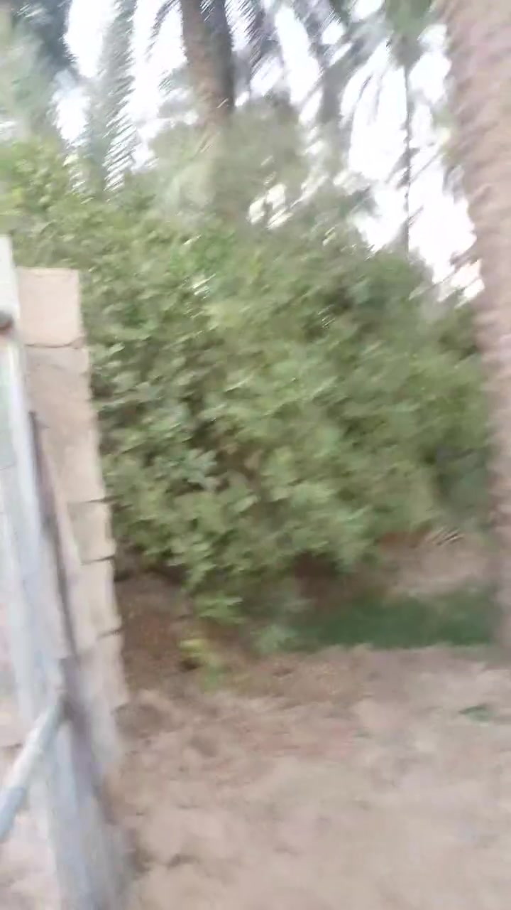 نص دونم  للبيع سند زراعي مقابل معمل بلوك عباس السحاكي الاتصال على الارقام ***********  ***********
