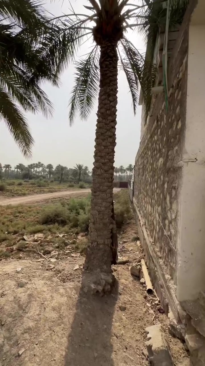 ٣ دونم • سند ٢٥ • طابو زراعي
