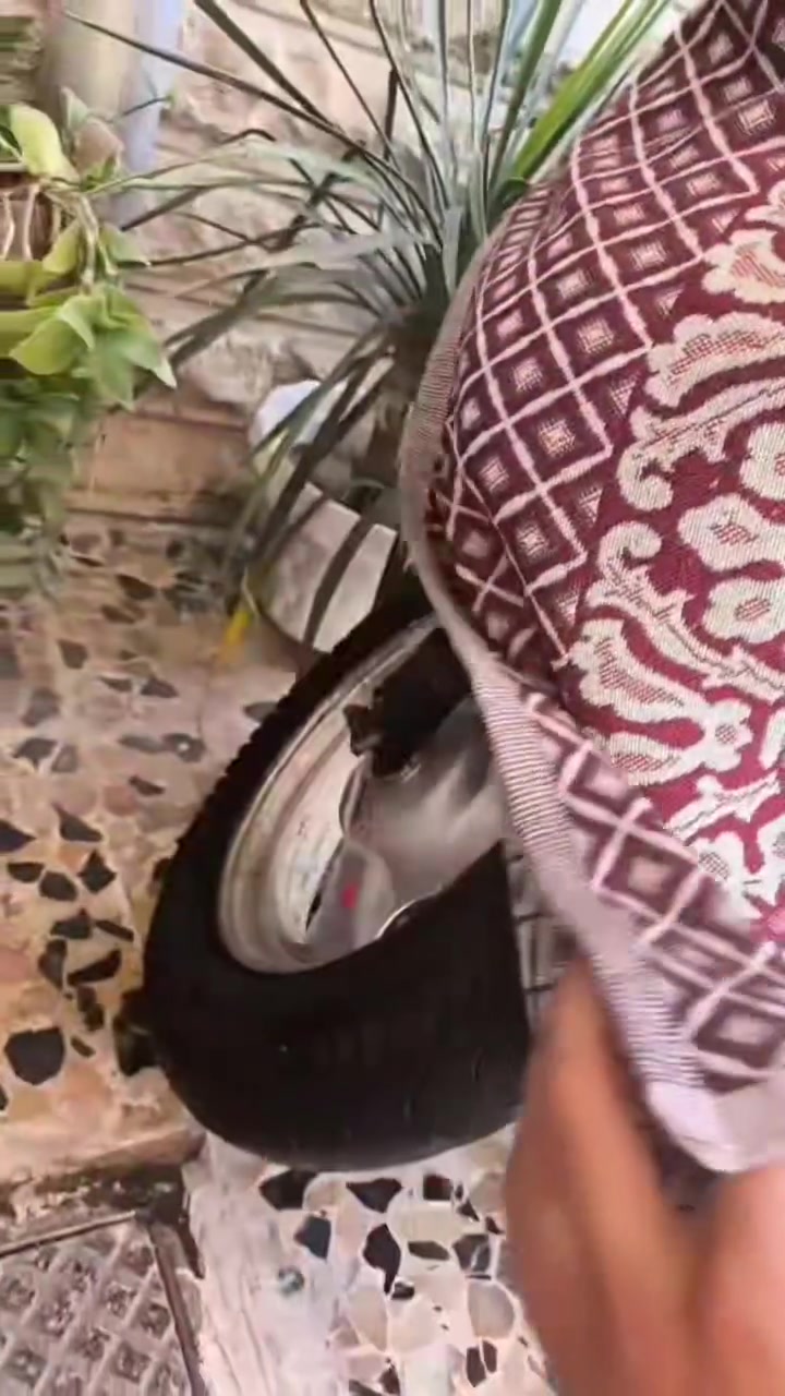 عندي  دراجه نوع بوتين نضافتها 80بل ميه الدراجه ناقصها كماليات يعني على قبغات بك لايت اكلوبات اشاير الدراجه لونها اسود كامله انطيك بيها معدل وتحريكه عليها اكلجات امامي وخلفي رياضي الدراجه سعرها 170 وبيها مجال لشراي لكطه ما تلكي بقوتها بهيج سعر مكاني الموصل الجانب الايسر الي يحب يتواصل وياي ويجي يشوفها هاذا الرقم ‏‪***********‬‏ بيه واتساب الي يحب يشوف صور الدراجه
