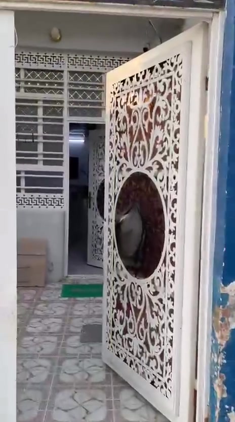 ملحق • الغدير الاولى • ١٠٠م