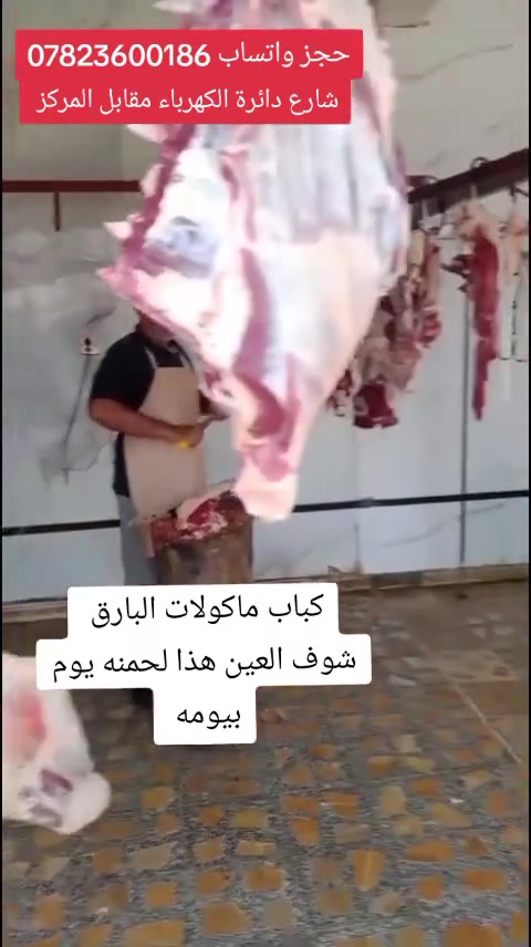 على بركة الله 
يتوفر اليوم كباب لحم عجل عراقي للحجز واتساب *********** نص كيلو 8اشياش ب10الاف 
والكيلو 16 شيش ب20 الف شارع دائرة الكهرباء مقابل المركز
