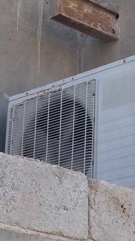 سبلت للبيع دنكه 2طن السعر 300وبي مجال تعال وفحص عوزه بس غسل شرط مكلف بلنشر
***********,***********
