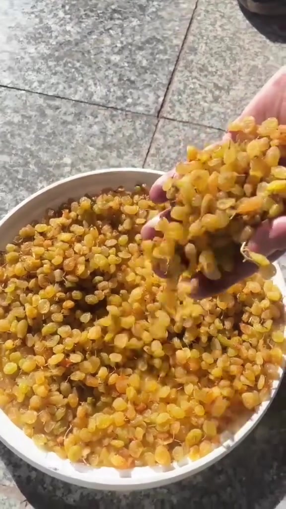 كشمش • ٧ كيلو • ذهبي