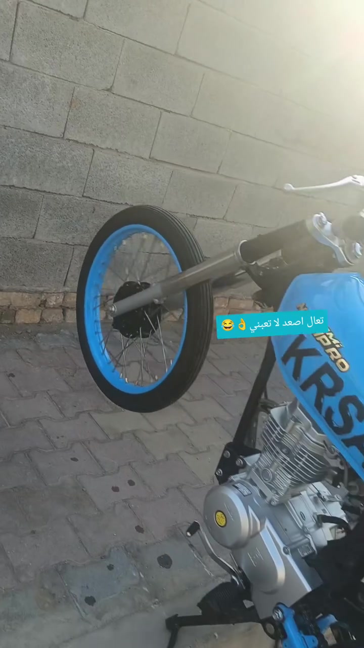بدون أوراق • مكفوله • ميسان