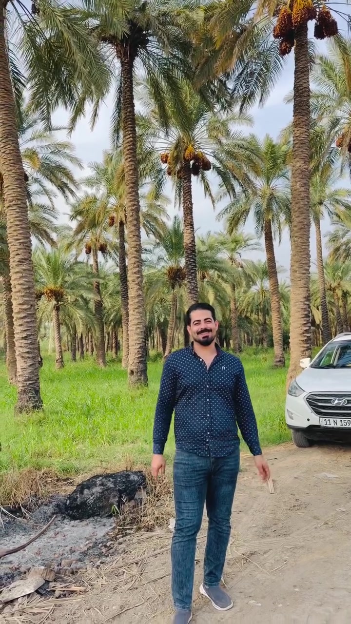 نص دونم • طابو ٢٥ • سلمان باك