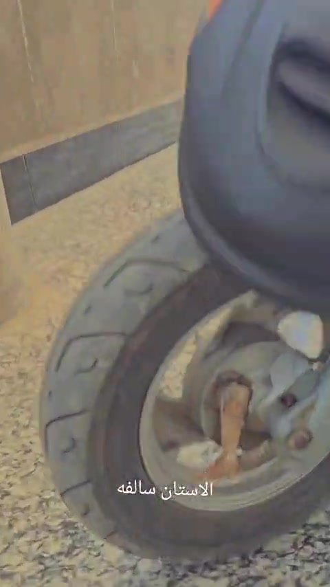 فراشة نثيه • نضيفه • كله جديد