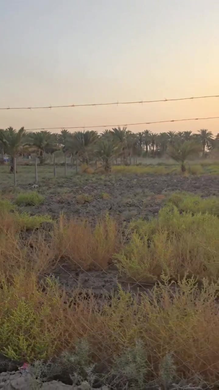 نص دونم للبيع 
ملك صرف زراعي 
حله // قرب شارع 100 
***********
***********
