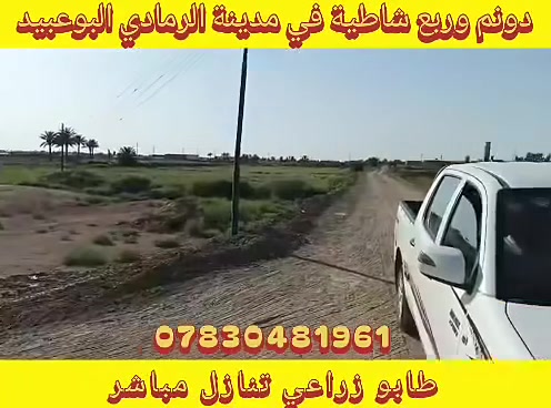 دونم وربع • شاطئية • الرمادي البوعبيد