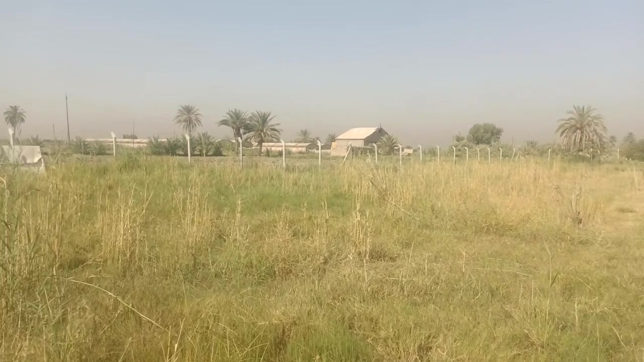 ارض طابو زراعي سند 25على طابو المحموديه مع دار للبيع استقبال وغرفة نوم وحمام داخلي وحمام خارجي ؟؟مساحة الارض واقع حال3000الف متر مربع تحويل وفتح بيان 2500 متر؟ ويحوط الارض سياج BRCالارض بسم صاحبه الشرعي
المنطقه كلش حلو وبيه كل الخدمات من تبليط وماء سقي نهر وماء اساله وقريبه عن السوق ناحية القصر الأوسط بمسافه 5 دقائق؟ 
السعر100
العنوان بغداد اليوسفيه ناحية القصر الأوسط منطقة بيرحمام ؟؟؟للاستفسار اتصل

‏‪***********‬‏يوجد وتساب
‏‪***********‬‏ يوجد وتساب
‏‪***********‬‏
