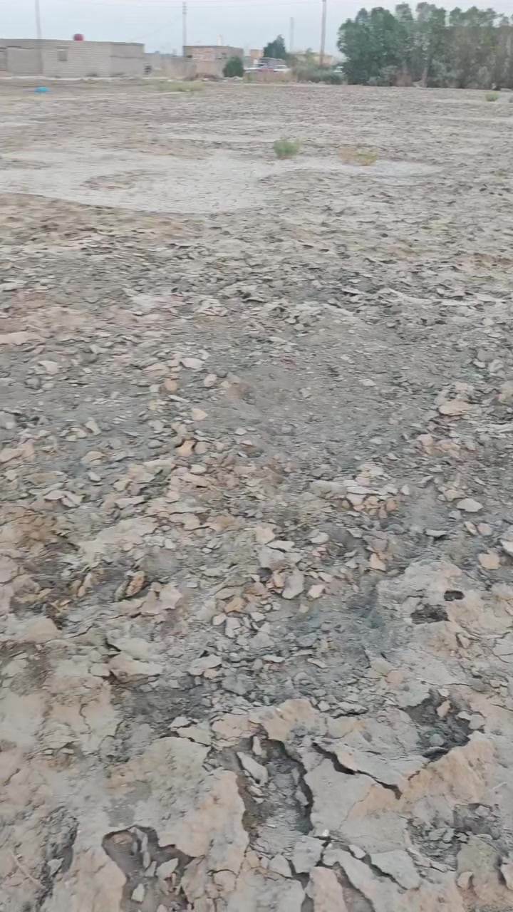 ٢٥٠م • زراعي • حي الجوادين