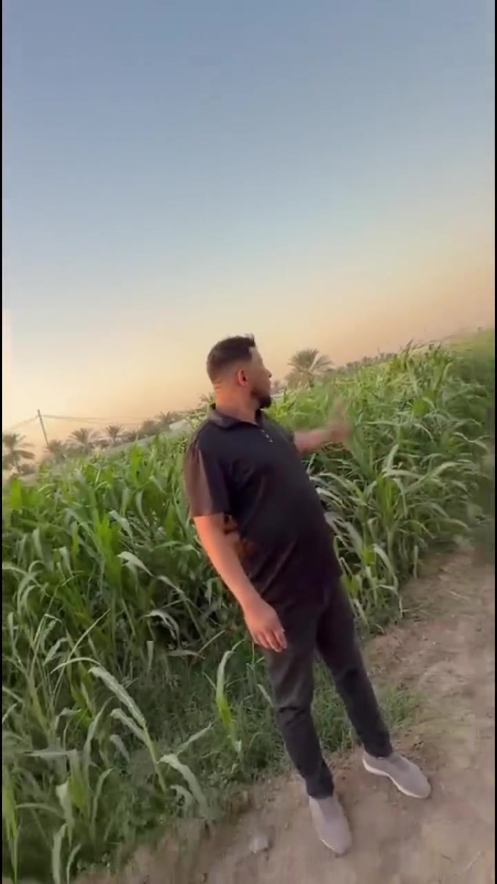 المدائن الجعارة • نص دونم • طابو سند ٢٥