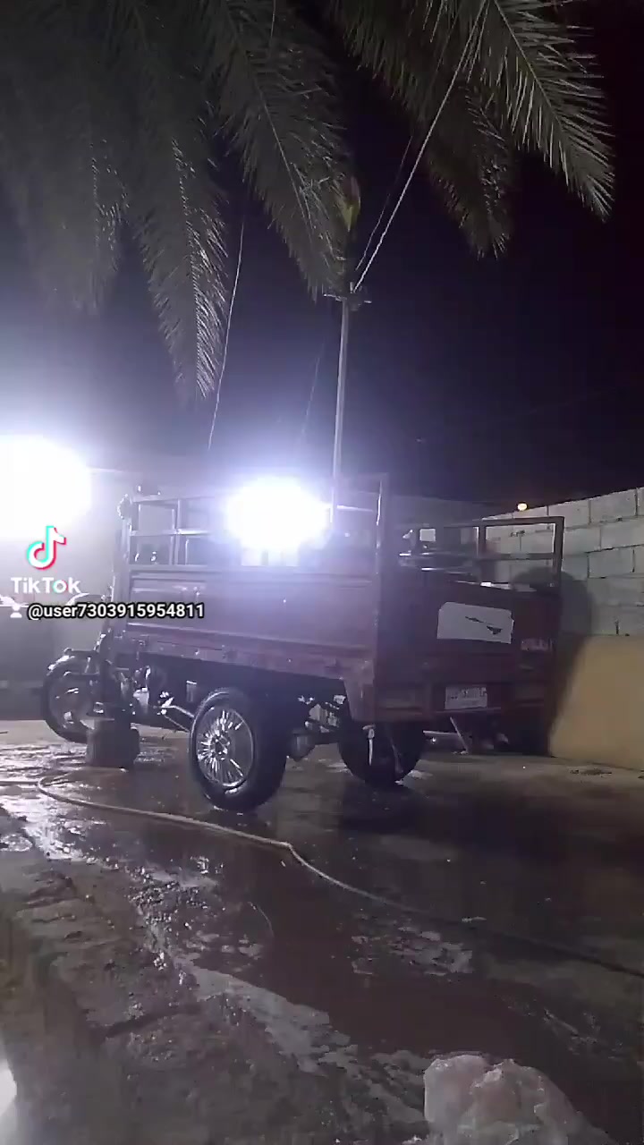 ستوته • محرك زين • بدون أوراق