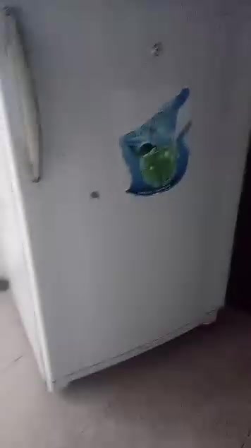 لا توجد تفاصيل
