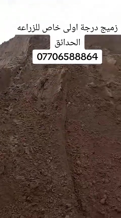 متابعينة الكرام يتوفر لدى مشتل التاجي  اجود انواع الزميج خاص للحدائق والمزراع درجه اولئ ونظيف  خالي من الاملاح والقصب/// للاستفسار والطلب *********** واتساب
