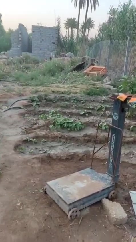 ‭‬ قطعة سند 25 باسمي المساحة 1000 متر الواجه 13 النزال 77 خدمات كافة مدفونة كله مسيجة الإمام باب وبلوك والباقي بي ار سي السعر 50 مليون مع مجال بيه كهرباء وماء تبليط تبعد عن مركز المدينة 5كيلو طويريج ‭***********‬
