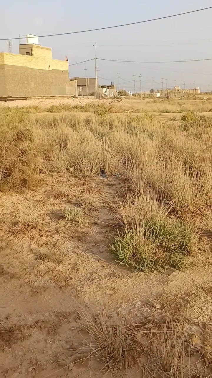طابو صرف • النجف الأشرف ناحية النور • ١٧٥م
