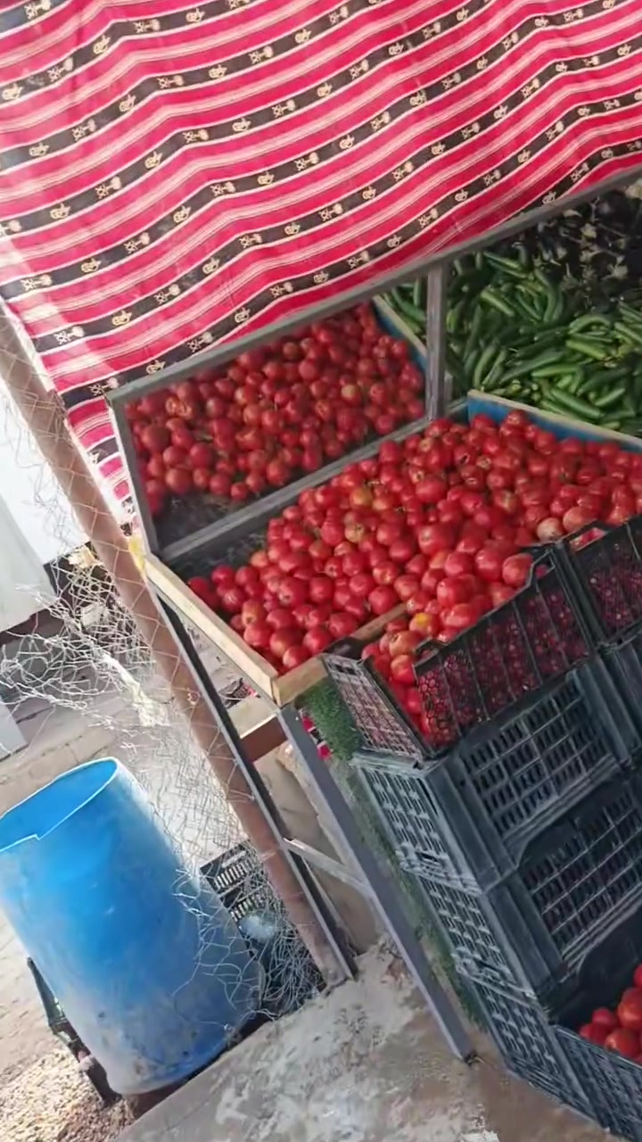 فواكه وخضروات • كربلاء شارع البره • جسر المانعي