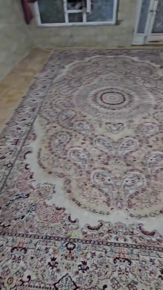عدي ذني الزوالي ثنين قياساتهن وحده ٣في٥ وثانيه ٣في٦ الثكيله الاصليه الله شاهد قيمهن باليرضي الله وللعلم مغسولات بالغسل وجاهزات.
***********
