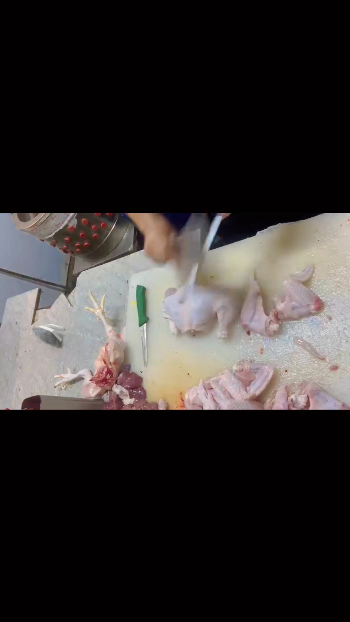 أكيد 🌟 خلّينا نسوي عرض خاص لقصابة البيت الطازج بشكل مرتب وجذاب.
🔥 عرض خاص – قصابة البيت الطازج 🔥
عروض اليوم على مقطعات الدجاج الطازج
🍗 أفخاذ الدجاج 
🍗 صدر الدجاج 
🍗 أجنحة الدجاج 
🍗 كبدة الدجاج 
📍 بغداد – البلديات – قرب بانزين خانه سما البلديات
📞 ***********
طازج يومياً… جودة تفرق 👌
قصابة البيت الطازج
