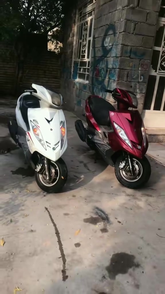 GTR • ثنين • كفالة مكينة