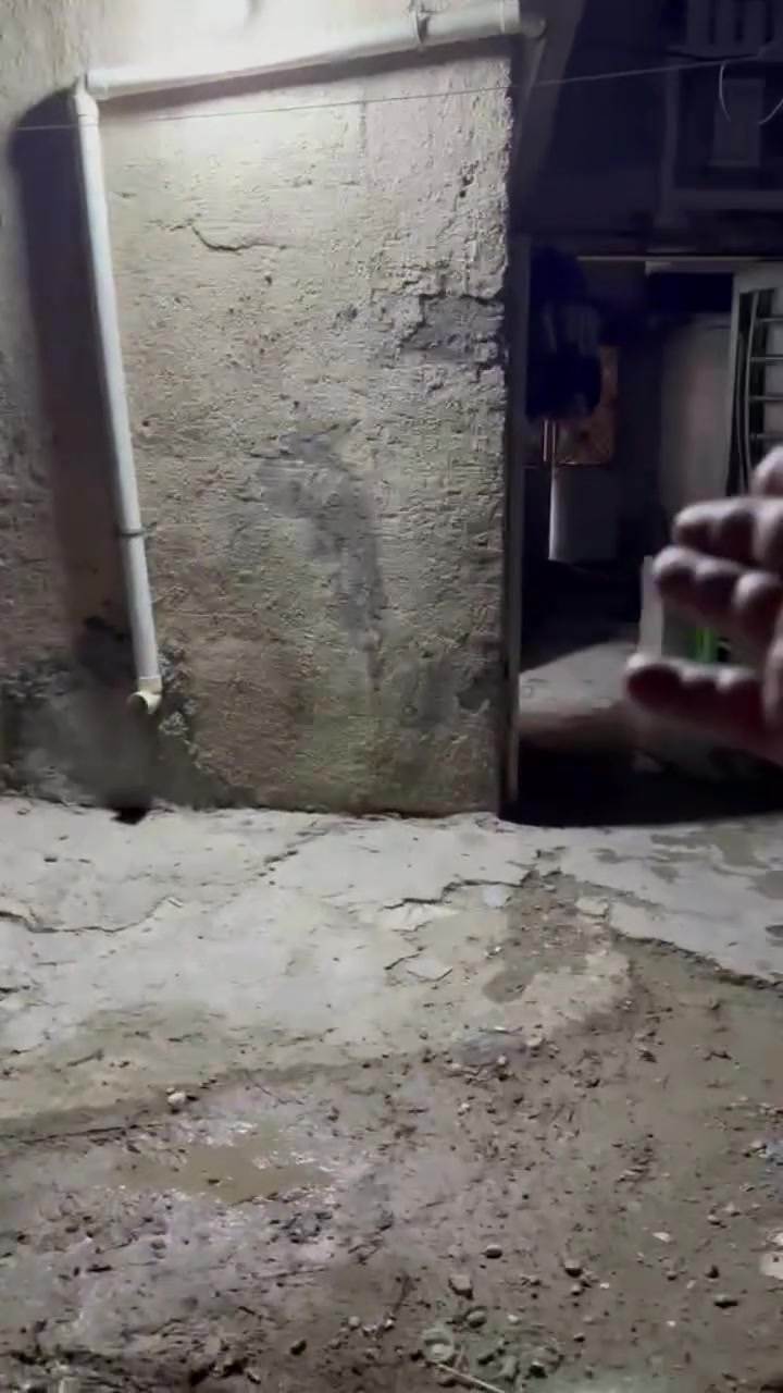 السلام عليكم
✨عرض اليوم ✨

💲بيت للبيع مساحه 80م 🌿

⛪موقع البيت ال 3000 قريب سوك الاربعتالاف⛪

💲قريب مدراس ثانويه والابتدائيه 🌿

💲السعر المطلوب 42 بي مجال بسيط ⛪

باقي تفاصيل مراسله الصفحه او اتصال عله الرقم 

‏‪***********‬‏
