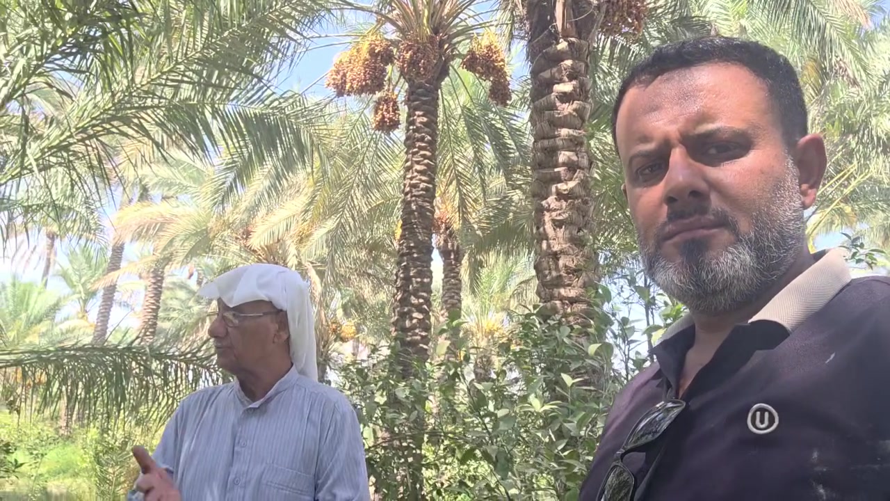 العم ابوشاهر الجبوري ويتحدث عن تجربتة وية مكتب المقدادية للتنمية الزراعي  ***********
