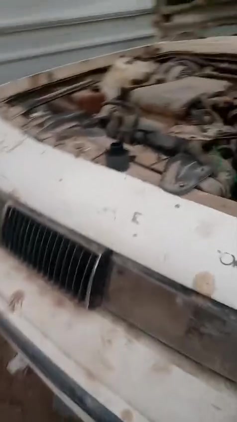 سلام عليكم تم تفصبخ اولدز متوفره جميع غراض اولدز سلبرتي حداديه مكينه كير جميع الغراض +كماليات عامه مكان بغداد الزعفرانيه الاستفسار***********
