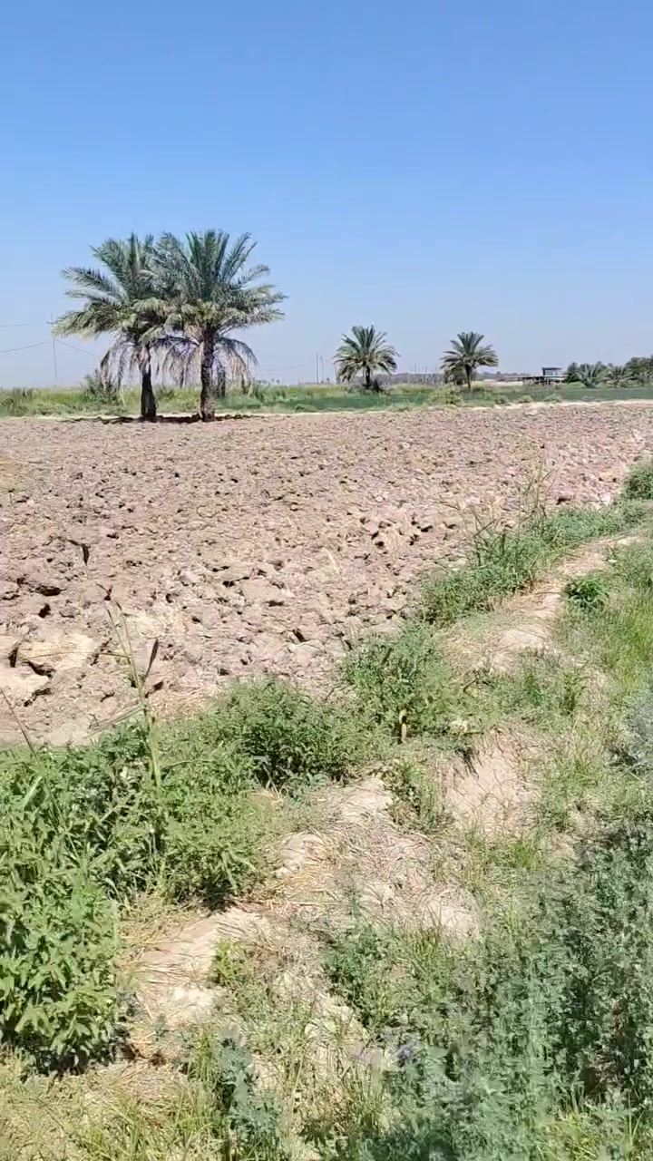 السلام عليكم يوجد دونم للبيع سند 25تحويل على طابو المحموديه ثانيوم  افتحلك بيان بالطابو موقع دونم يبعد عن حولي المحمودية كيلو ونص منطقه شيشبار خدمات مي كهرباء للاستفسار خاص  الاتصال  على ال ارقام  *********** واتساب *********** , ***********
