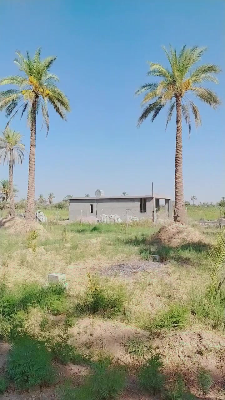 السلام عليكم
دونم للبيع
الوجه 50 النزال 50
الموقع بغداد الراشديه
***********
***********
