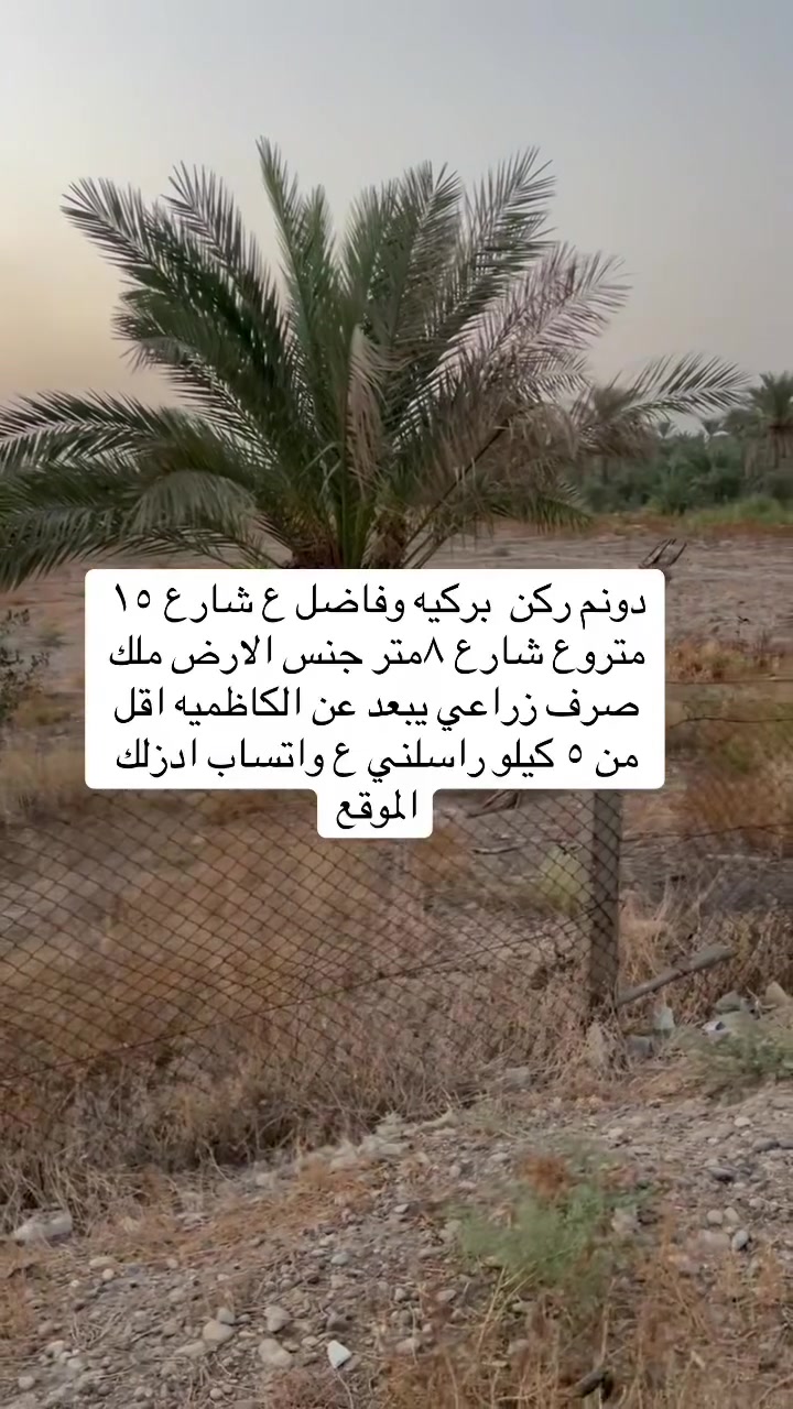 للاستفسار ***********
***********
