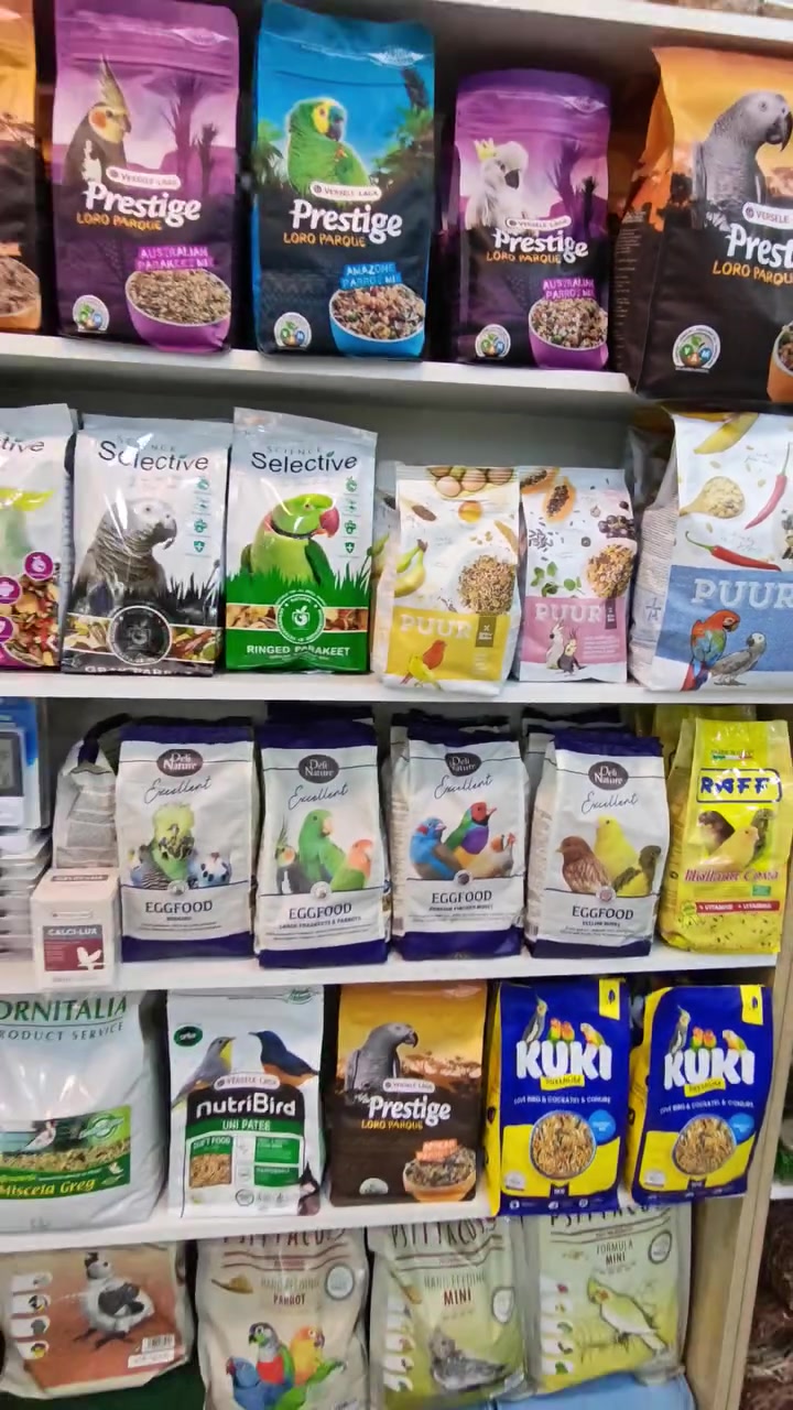 🇧🇪🇮🇹 التميّز يبدأ من التغذية

بفضل الله، وصل إلى مشتل علي العامري مجموعة مميزة من أعلاف ومنتجات نخبة الشركات البلجيكية المتخصصة في تغذية ورعاية الببغاوات والفنشات 🦜🐦

منتجات مختارة بعناية لأصحاب الطيور الباحثين عن الجودة، الاعتمادية والنتائج المميزة.

📦 متوفر الآن 
📩 للطلب والاستفسار: مراسلة الصفحة
📱 أو التواصل عبر الواتساب ***********

مشتل علي العامري
اختيارك للجودة… يصنع الفرق.

يوجد توصيل بغداد ولجميع المحافضات 

العنوان📍

شارع فلسطين تقاطع المهندسين بعد البنانزين خانه مشتل علي العامري مجاور مشتل محمد فيصل متواجدون من الساعه 4🕓
ضهرا الى الساعة 11 ليلا 🕚
طيله ايام الاسبوع
