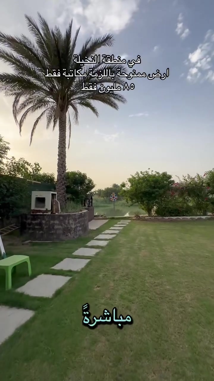 بابل النخيلة • ١ دونم • شاطية على الشط