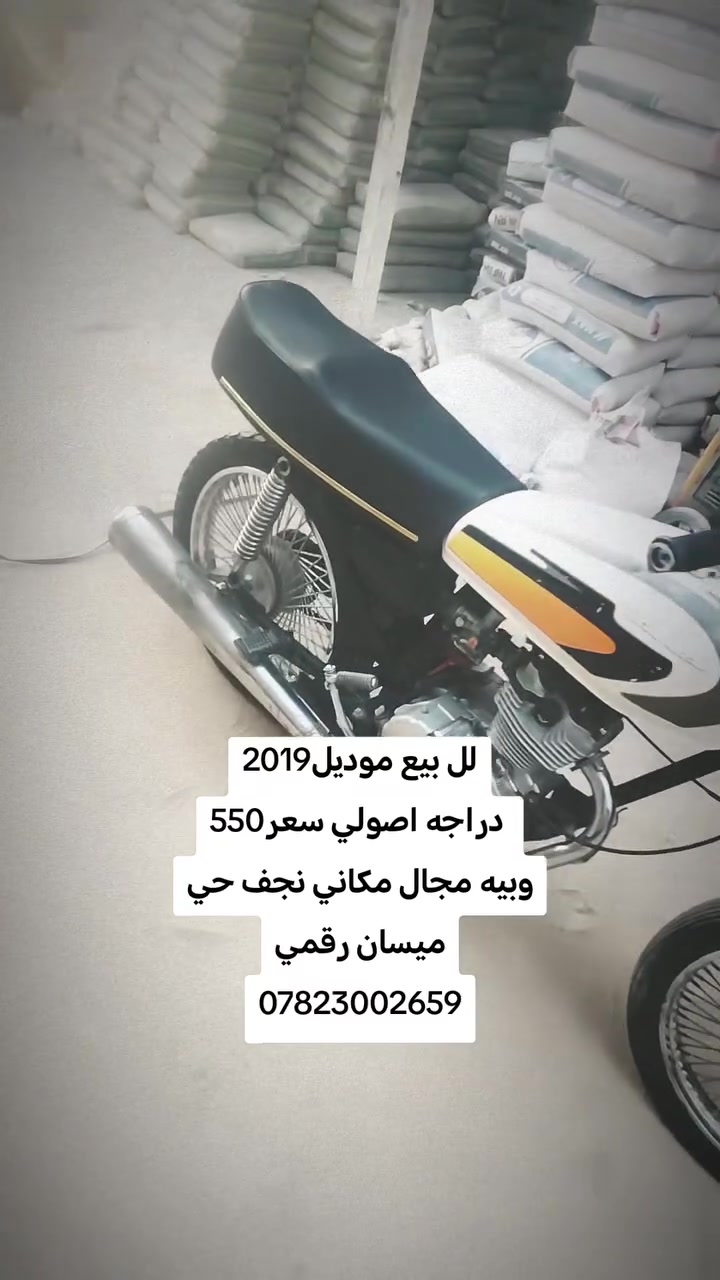 أصلي • أوراق • نجف