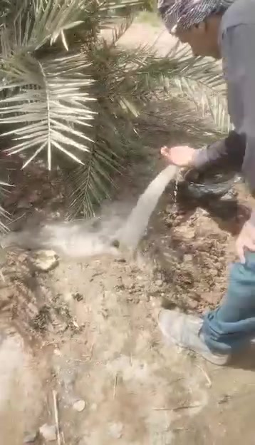 لحفر الابار الأرتوازيه ***********
*********** 
 يوجد واتساب  
مستعدون الحفر الابار وتعبرات الشوارع وتجفيف المنهولات نعمل في كافه محافضات العراق دقه في العمل وسرعه في الانجاز ونعمل تجفيف الارض الشركات الاهليه والحكوميه نعمل حفر الابار كاقه الاحجام ونعمل حفر يدوي والي

